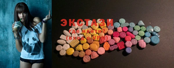мдпв Богородицк
